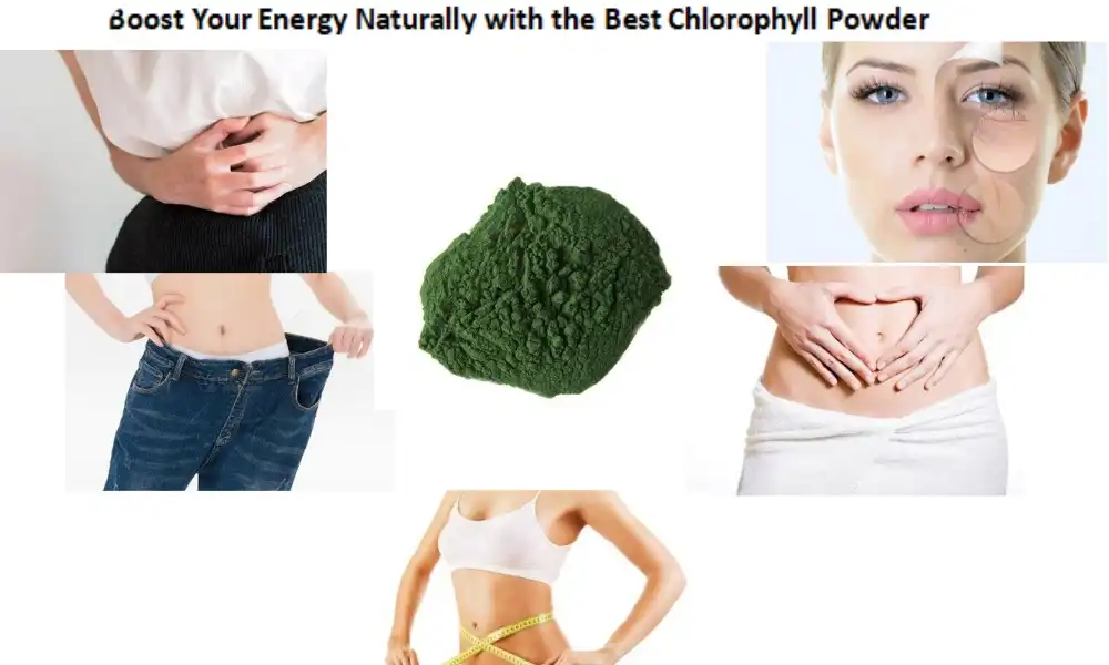 Boost Your Energy Naturally with the Best Chlorophyll Powder
